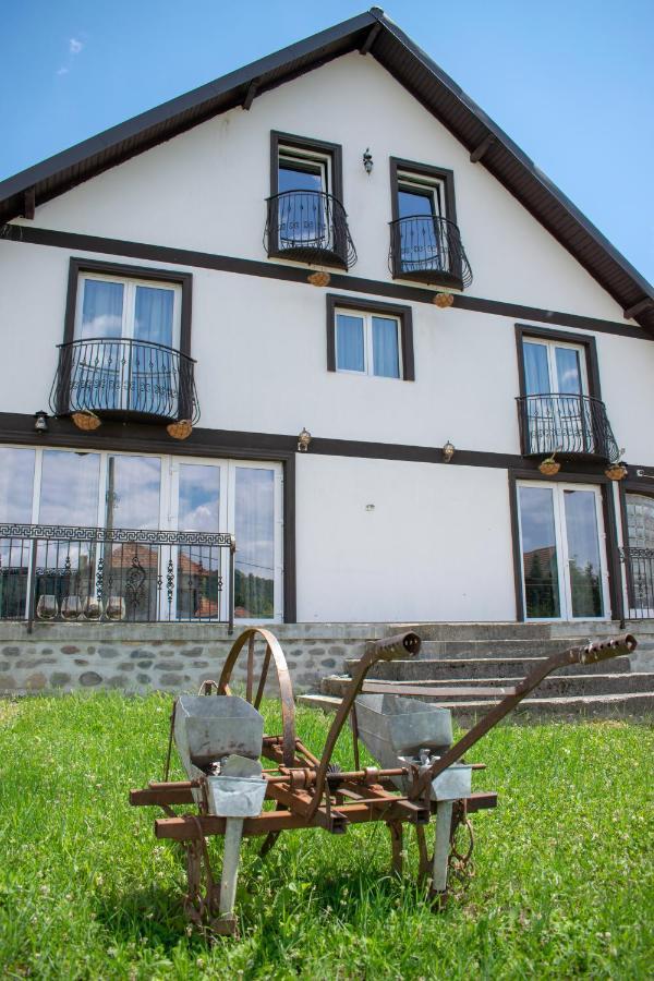 Casa Nevada Curtea de Argeş Exterior foto